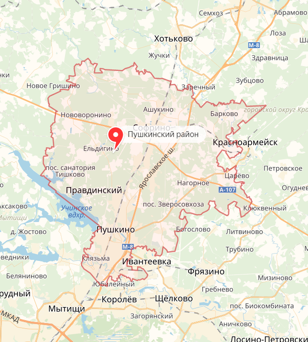 пушкинский район